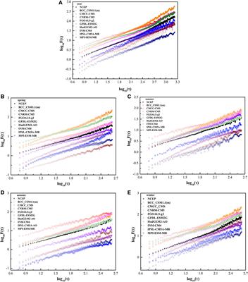 Whether the CMIP5 Models Can Reproduce the Long-Range Correlation of Daily Precipitation?